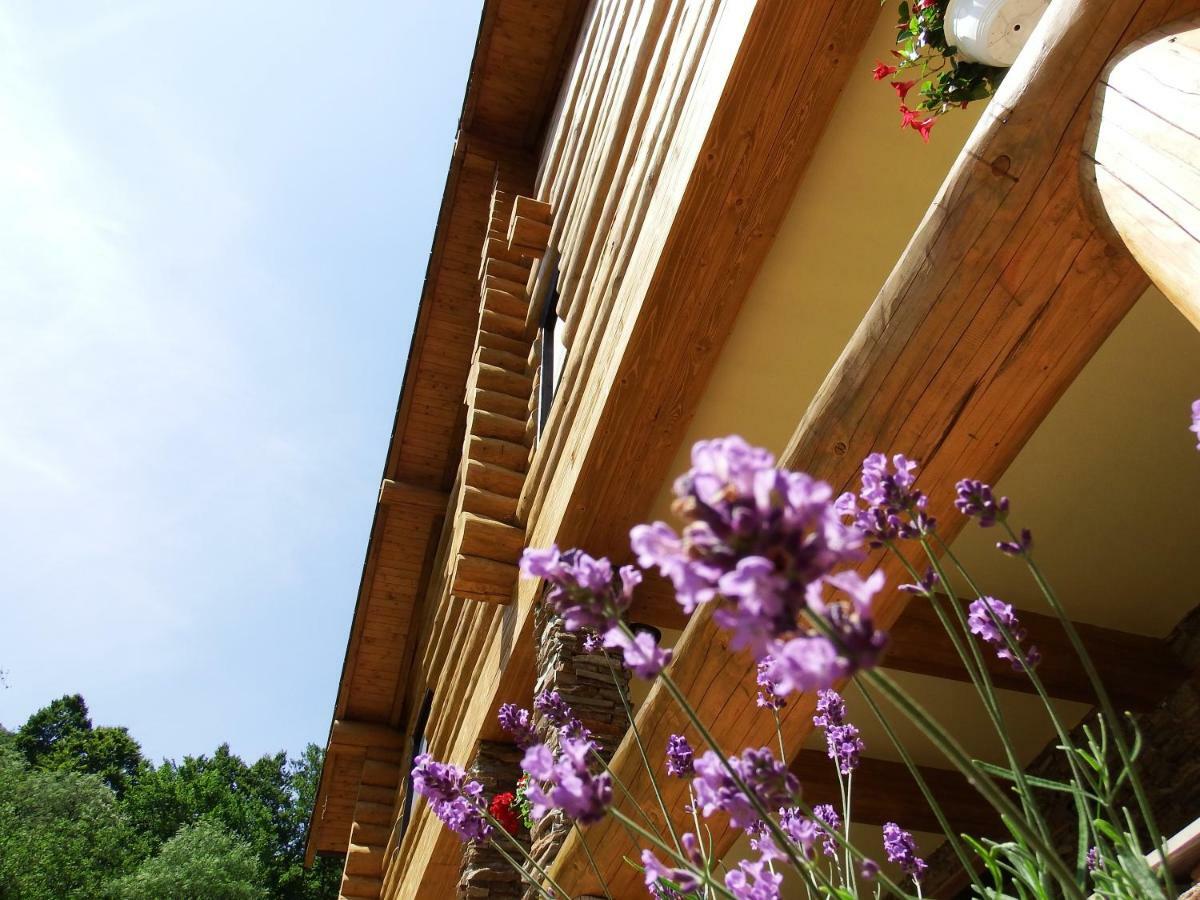 Casa Din Vale Sacuieu Exterior foto